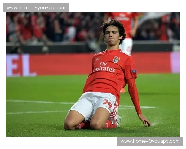 新闻本菲卡:红色信仰的声音 新闻本菲卡:红色信仰的声音