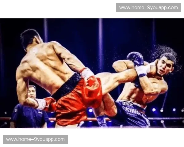 锋芒相对：董文飞与安迪，谁是真正的人生赢家？